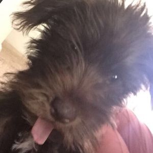 Meet your Posher, Jasmine